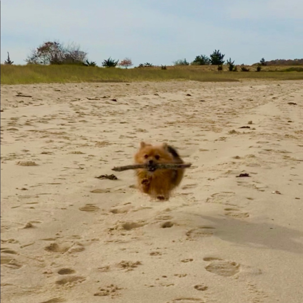 Meet your Posher, Julie